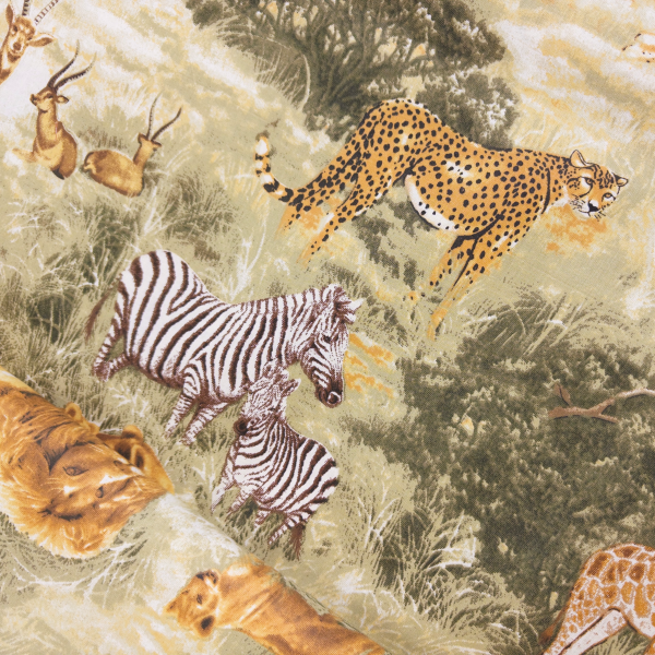 Safari